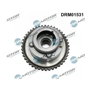 DRM01531 LIZARTE