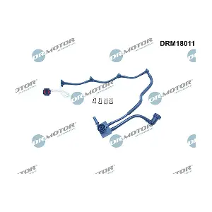 DRM18011 LIZARTE