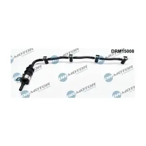 DRM15008 LIZARTE