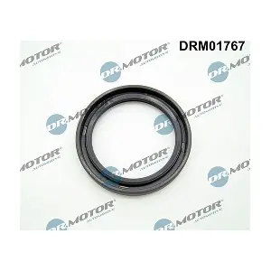 DRM01767 LIZARTE