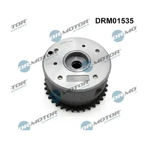 DRM01535 LIZARTE