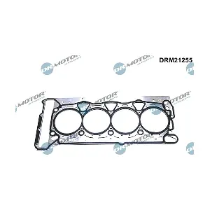 DRM21255 LIZARTE