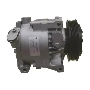LIZARTE 810407004