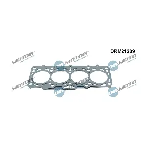 DRM21209 LIZARTE