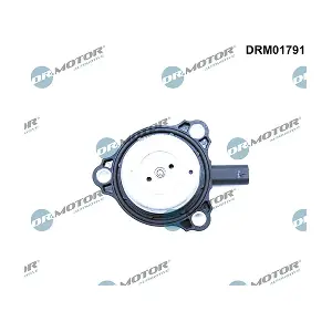 DRM01791 LIZARTE