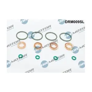 LIZARTE DRM009SL
