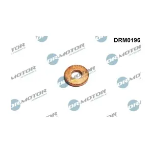 DRM0196 LIZARTE