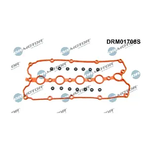 DRM01708S LIZARTE