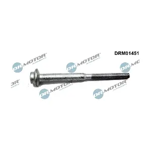 LIZARTE DRM01451