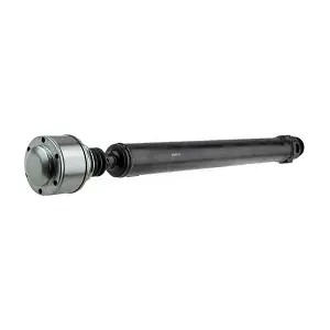 PS0025 LIZARTE