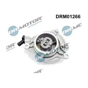 DRM01266 LIZARTE