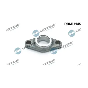 DRM01145 LIZARTE