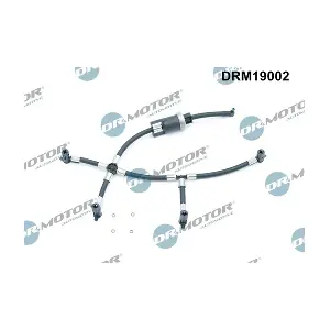 DRM19002 LIZARTE