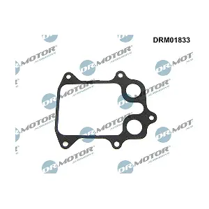 DRM01833 LIZARTE