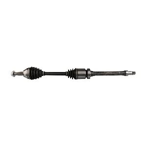 LIZARTE DS0356