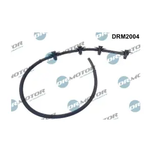 DRM2004 LIZARTE