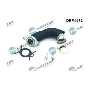 DRM0672 LIZARTE