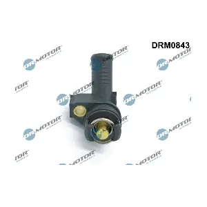 DRM0843 LIZARTE