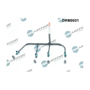 DRM9001 LIZARTE