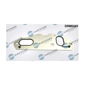 DRM0445 LIZARTE
