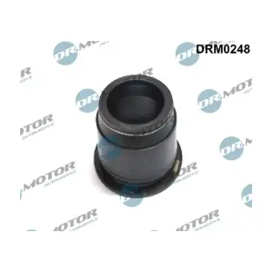 DRM0248 LIZARTE