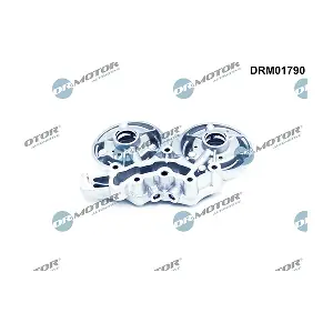 DRM01790 LIZARTE