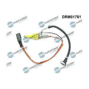 DRM01781 LIZARTE