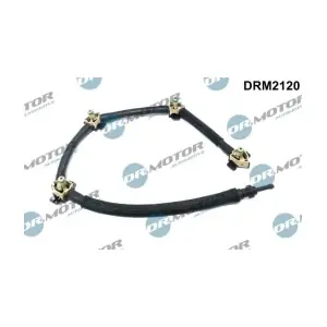 DRM2120 LIZARTE