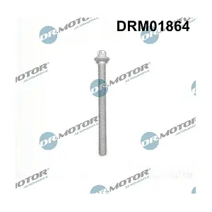 DRM01864 LIZARTE