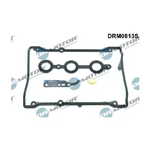 DRM0813S LIZARTE