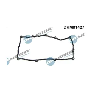 DRM01427 LIZARTE