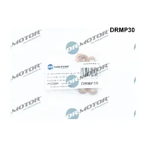 DRMP30 LIZARTE
