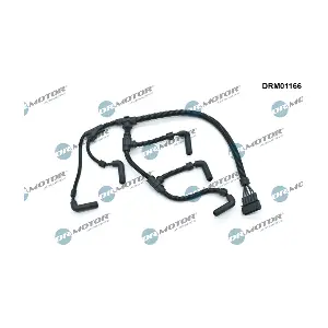 DRM01166 LIZARTE