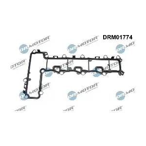 DRM01774 LIZARTE