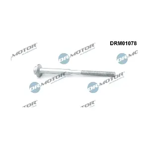 DRM01078 LIZARTE