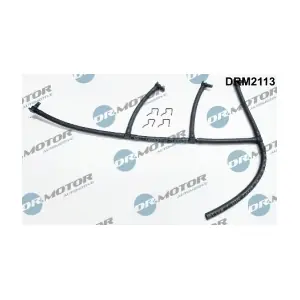 DRM2113 LIZARTE