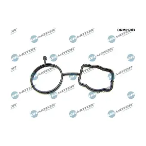 DRM01703 LIZARTE