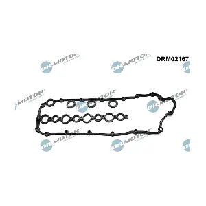 DRM02167 LIZARTE