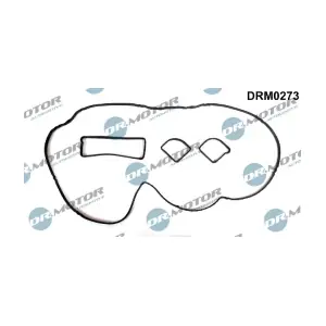 DRM0273 LIZARTE