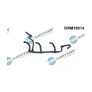 DRM18014 LIZARTE