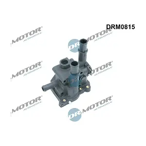 LIZARTE DRM0815