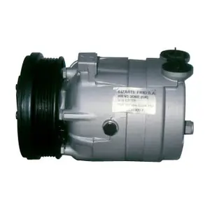 LIZARTE 810601026