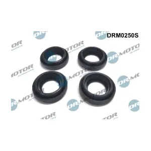 DRM0250S LIZARTE