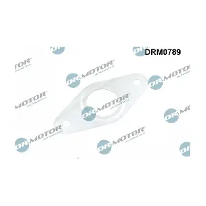 DRM0789 LIZARTE