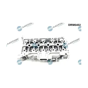 DRM6402 LIZARTE