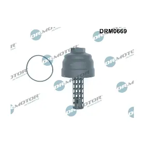 DRM0669 LIZARTE