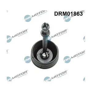 DRM01863 LIZARTE