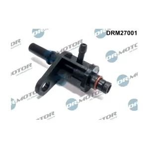 LIZARTE DRM27001