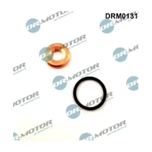 DRM0131 LIZARTE