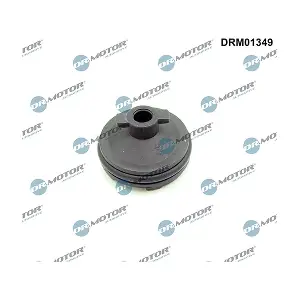 DRM01349 LIZARTE